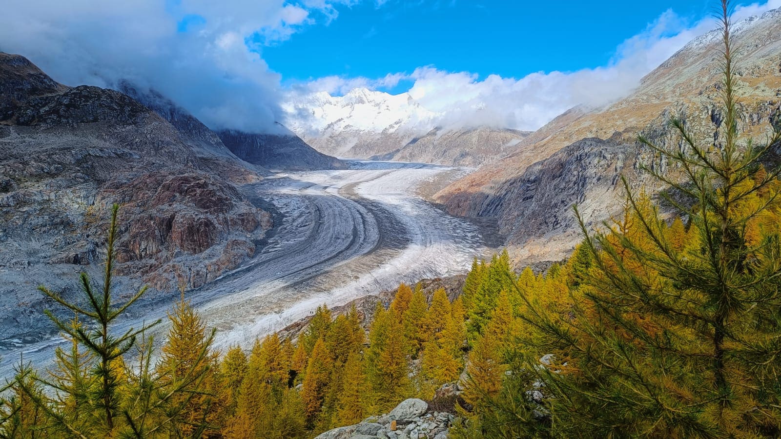 Aletsch